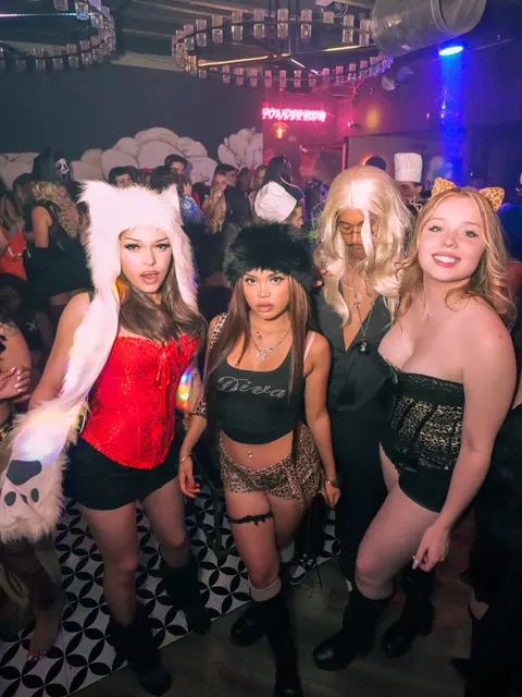 Nightlife, photo 5